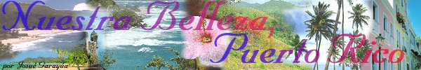 Nuestra Belleza, Puerto Rico!!!